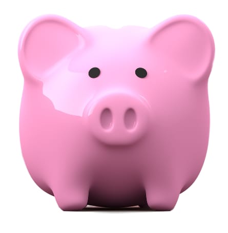 Pink piggy bank for renewal of due with Montville Women's Club